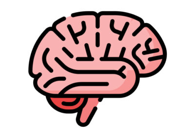 Teóricas, diseño en la práctica