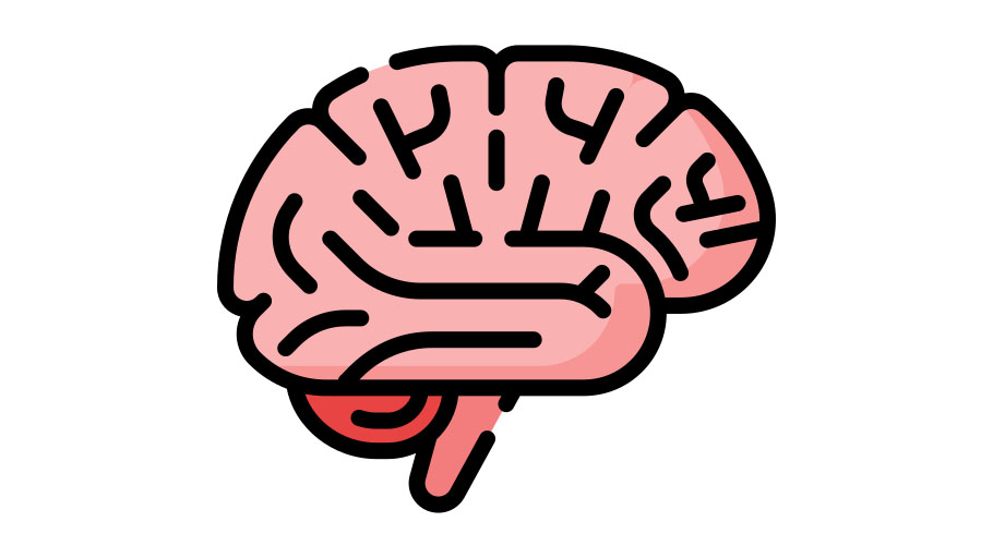 Teóricas, diseño en la práctica